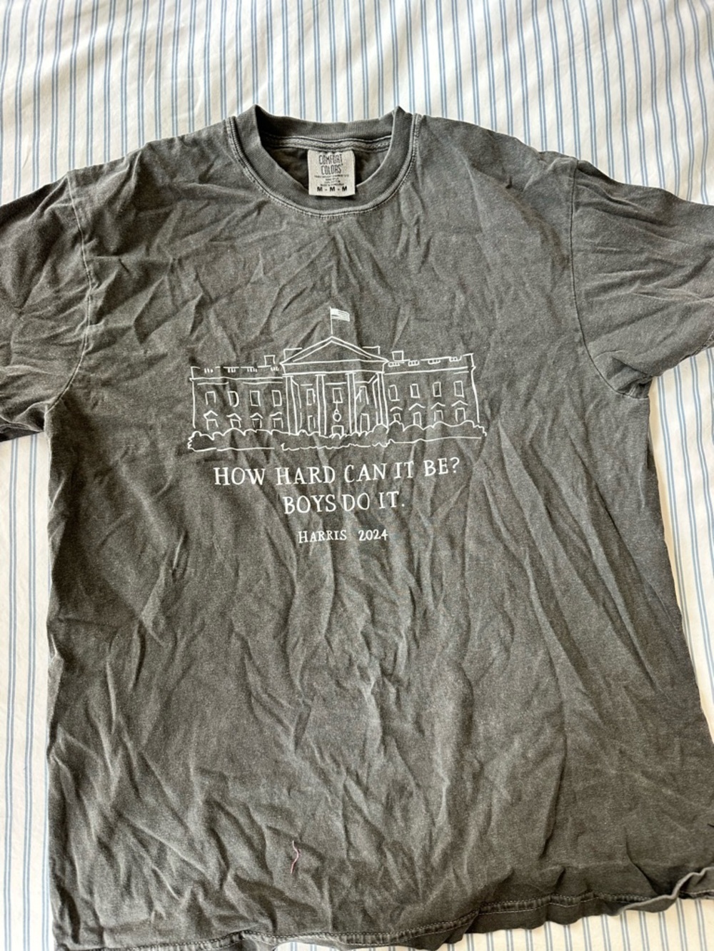 Comfort Colors Kamala Harris 2024- How Hard Can It Be? Boys Do It